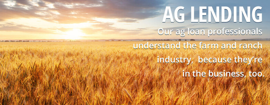 Our ag lending professionals have backgrounds in farming and ranching.